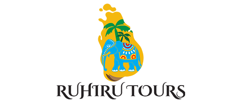 Ruhiru Tours